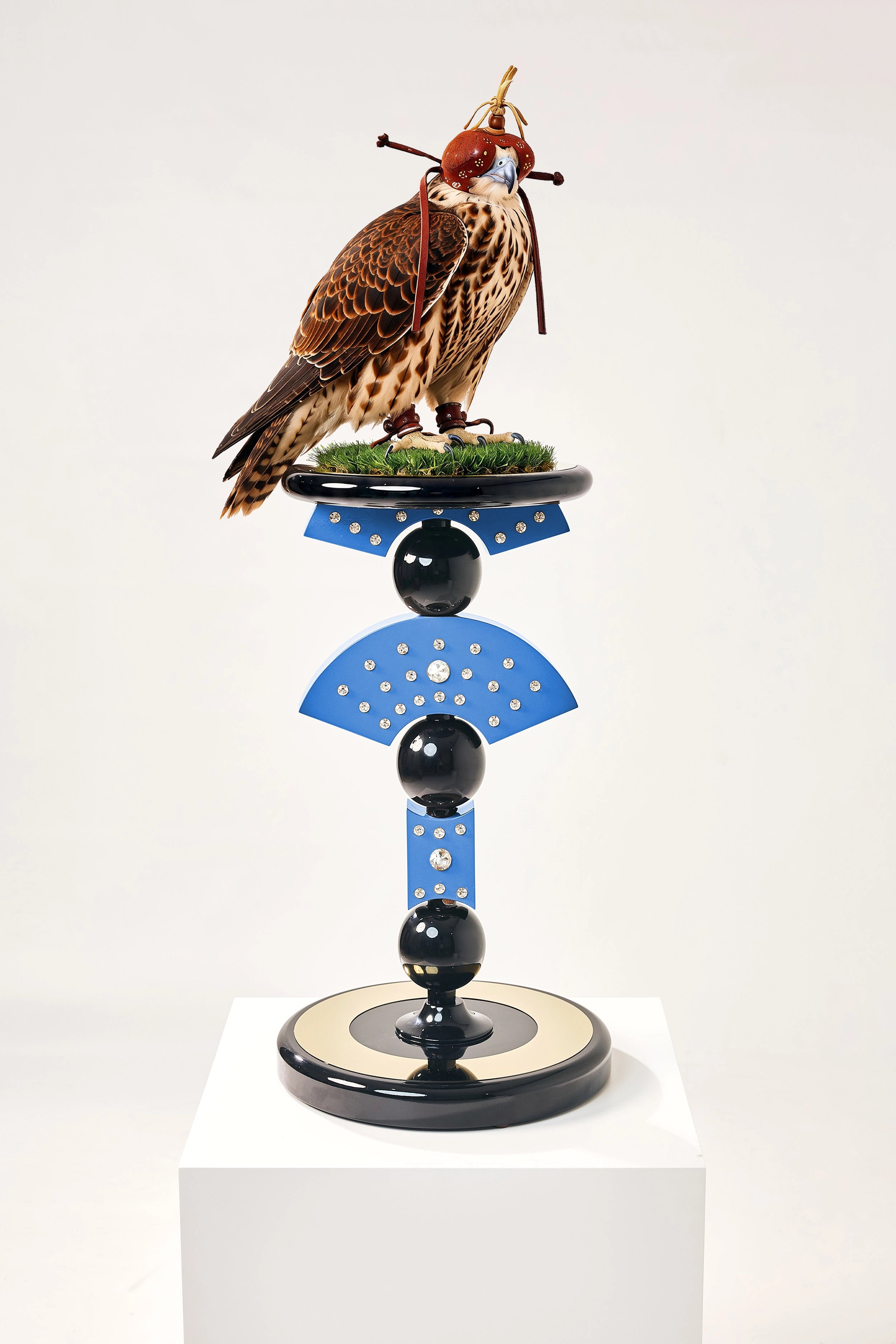 BEGUMAR — The Apex Falcon Perch
