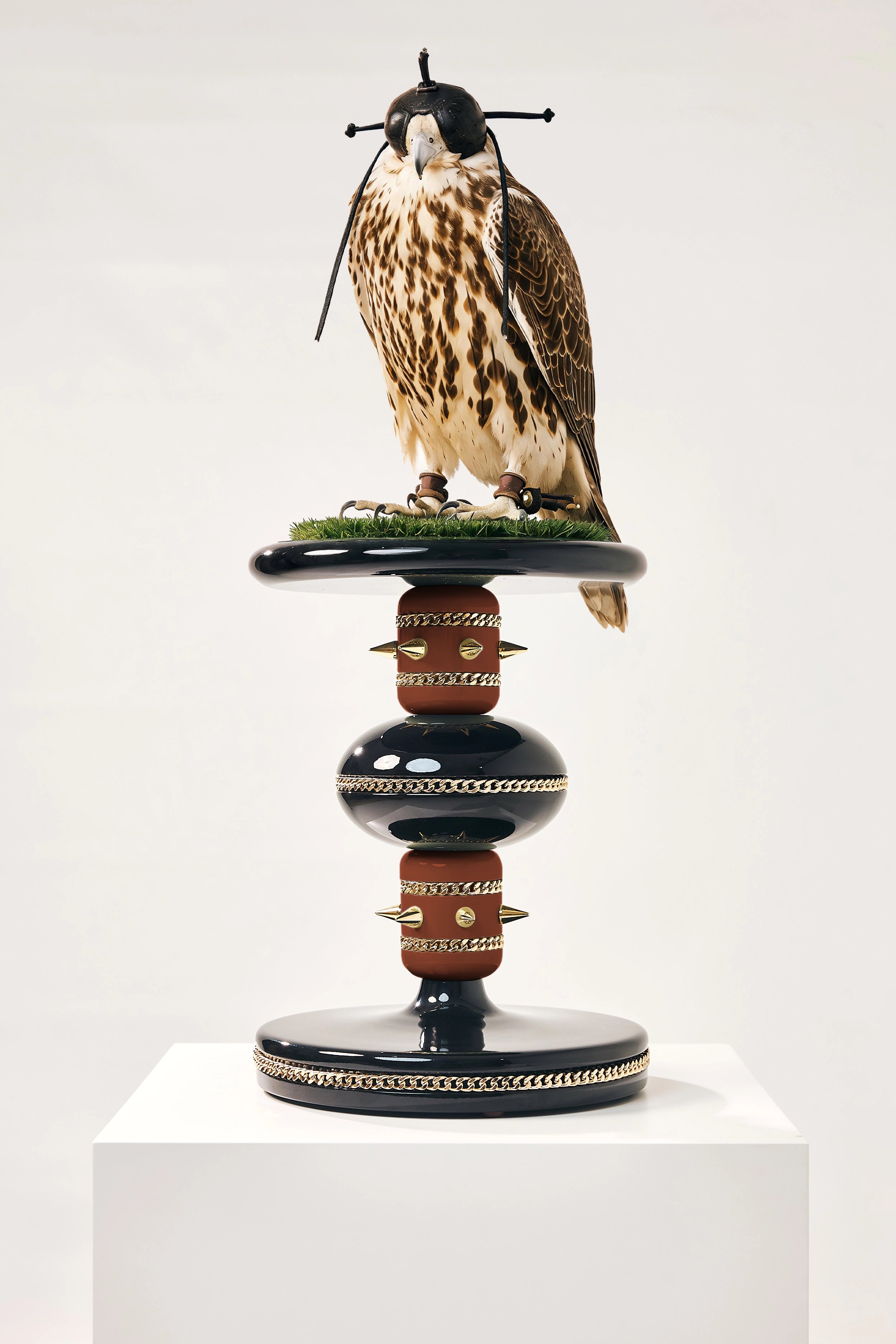 BOYAR— The Sovereign Sky Falcon Perch