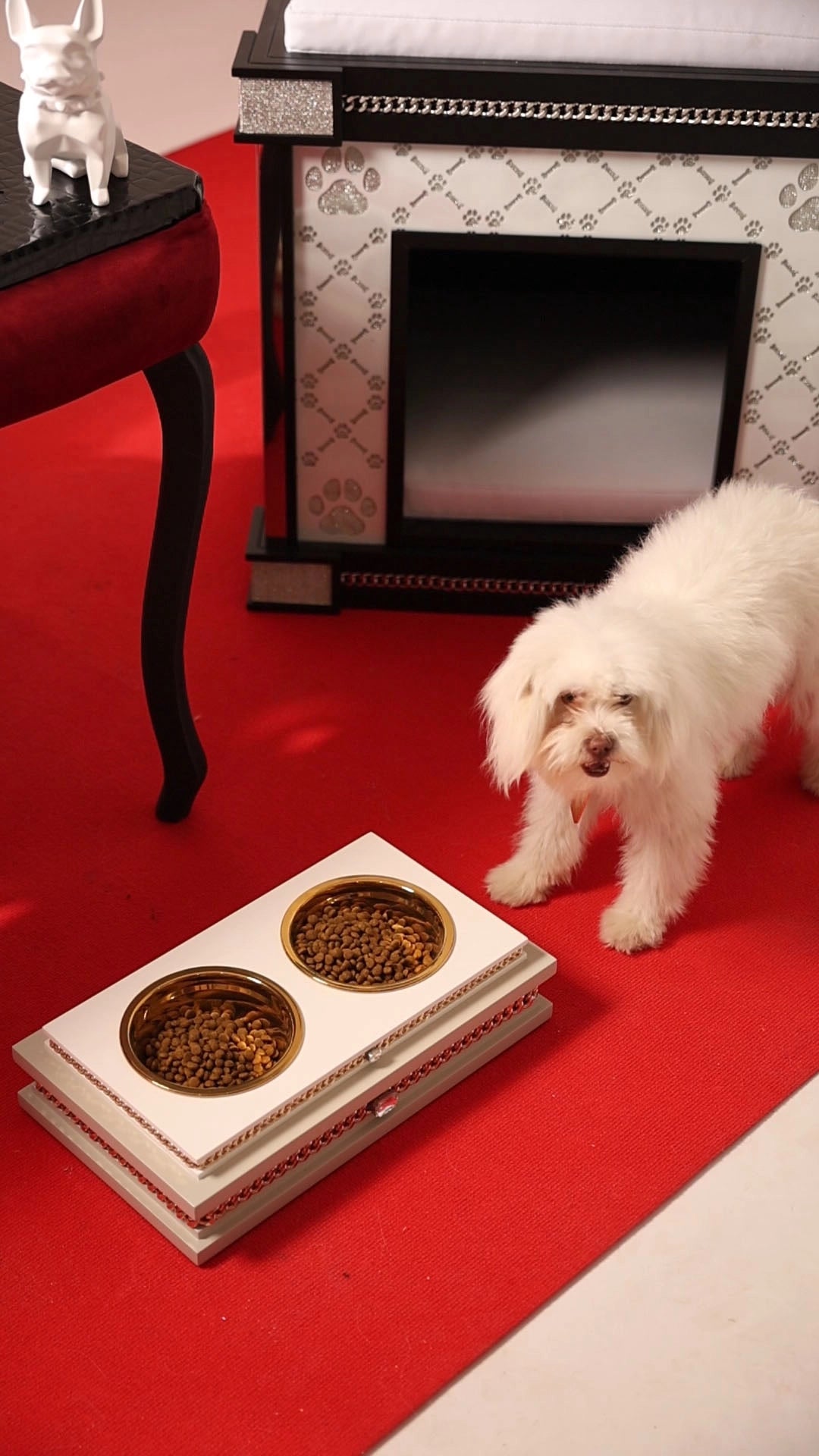 FUROAR Bon Appetit Royal dining