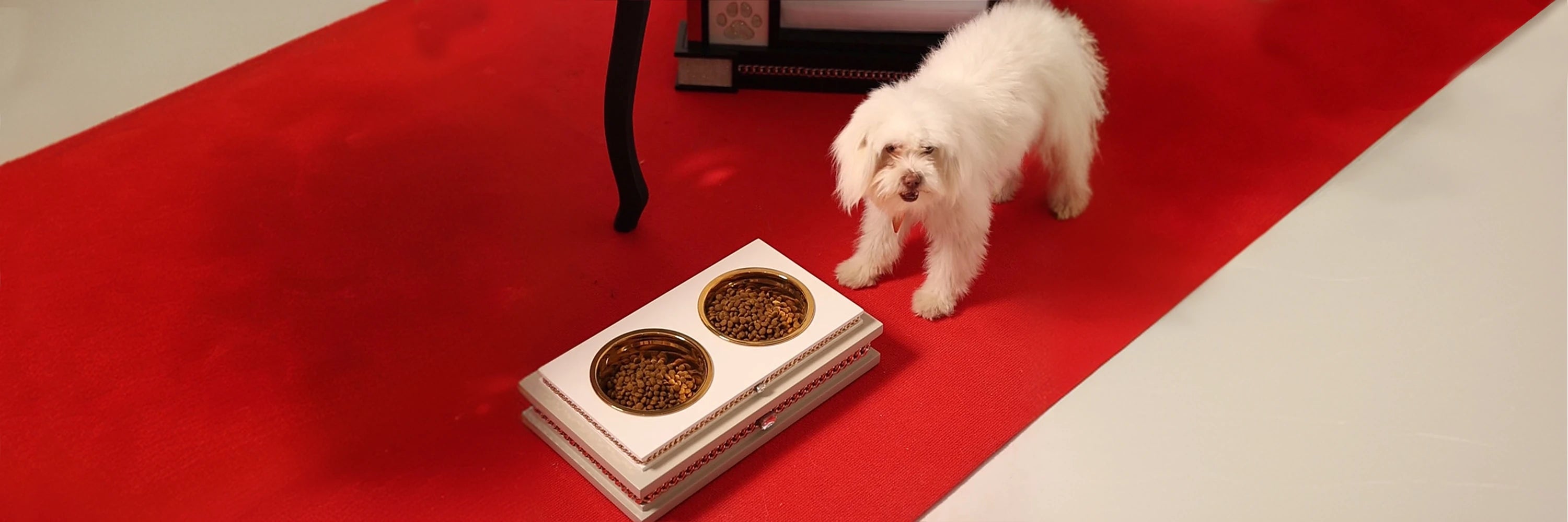 Bon Appétit