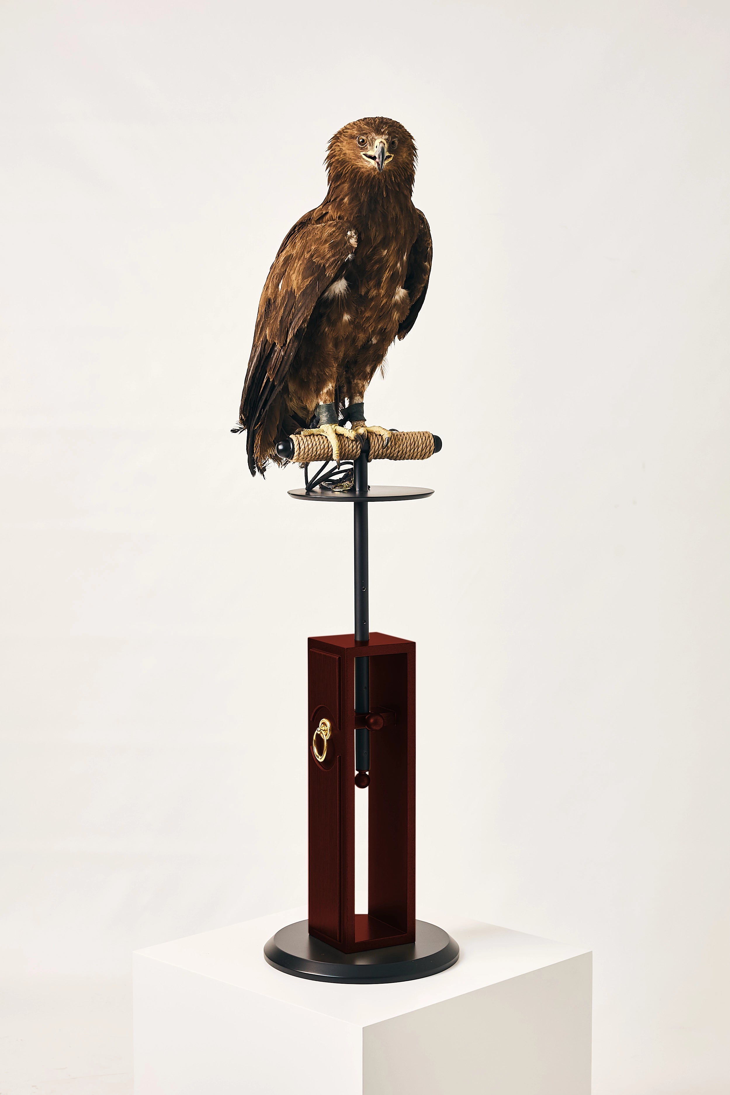 METEEOR Luxury Falcon Perch | FUROAR