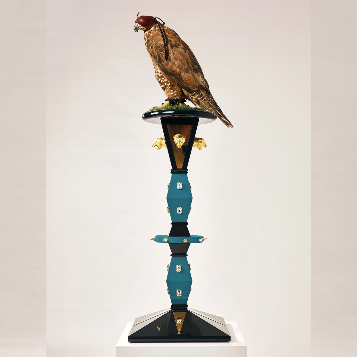 a hooded falcon is perched upon the Razaor falcon perch by Furoar