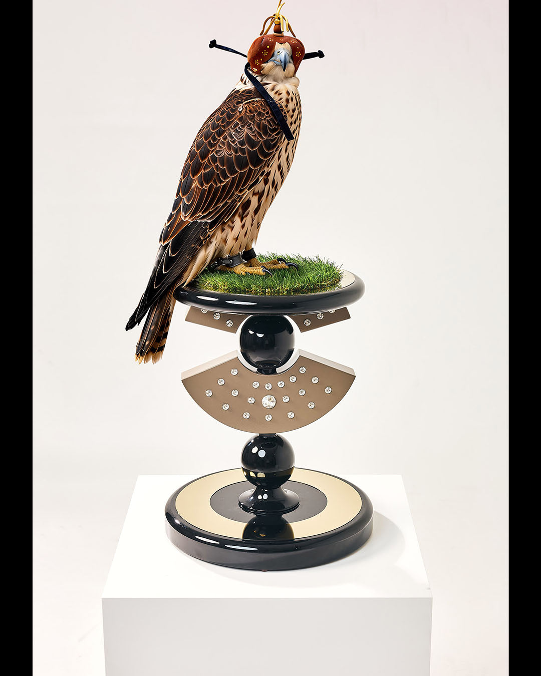 Boudica — The Warrior Queen Falcon Perch
