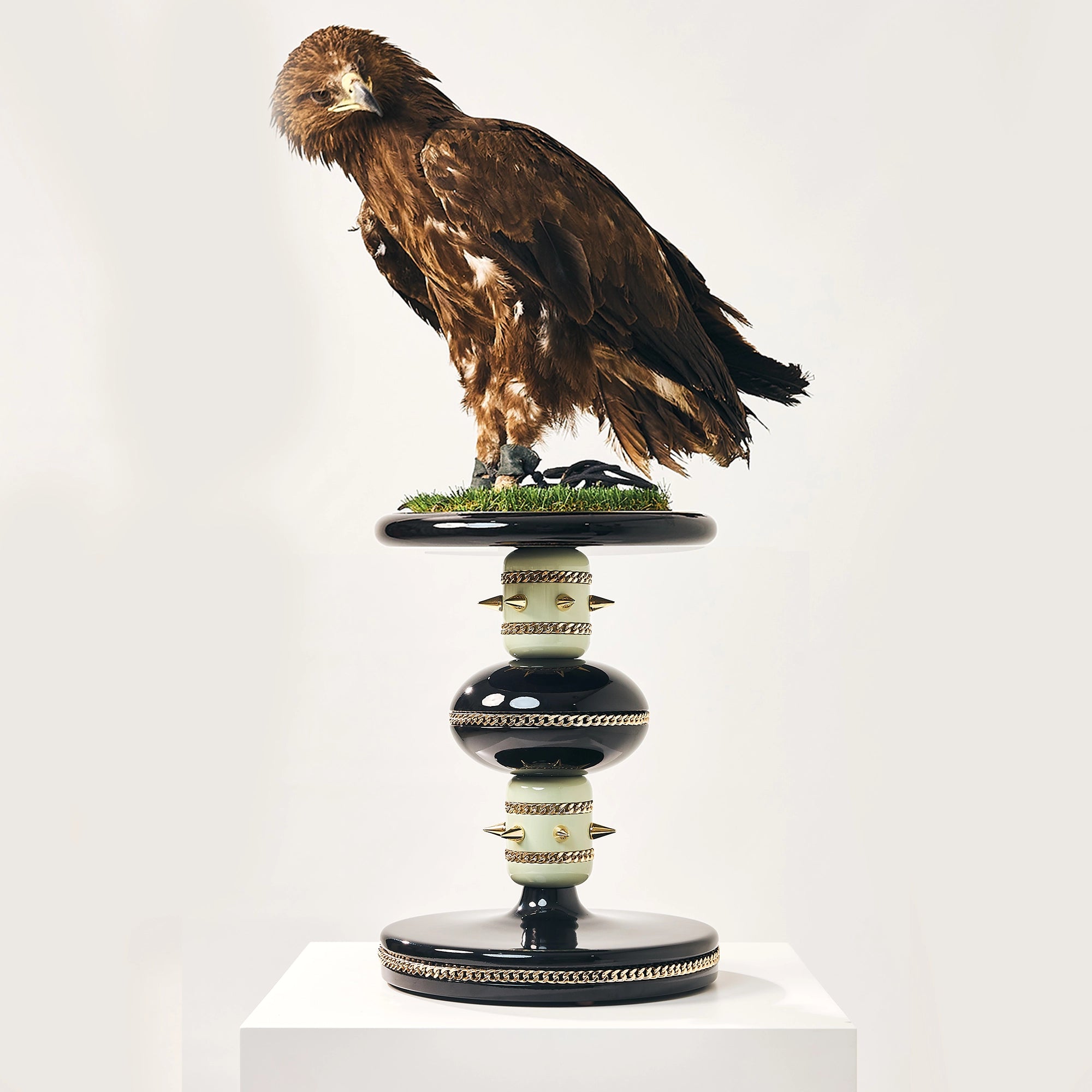A golden eagle perched on the luxury FUROAR Skye falcon stand with spiked collars.