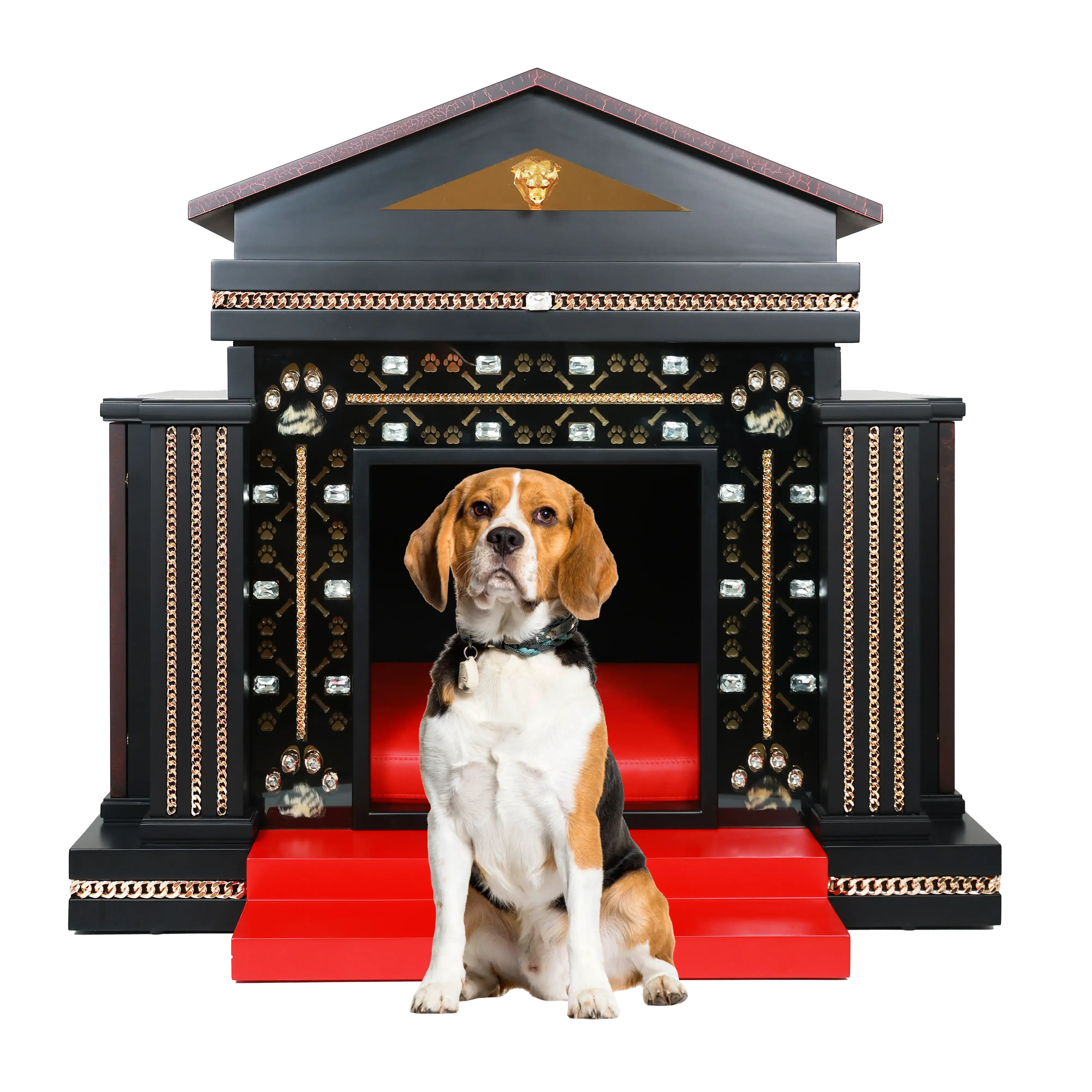 The Star Medium dog kennel in an ultra sleek Hollywood edition for medium dog breeds.