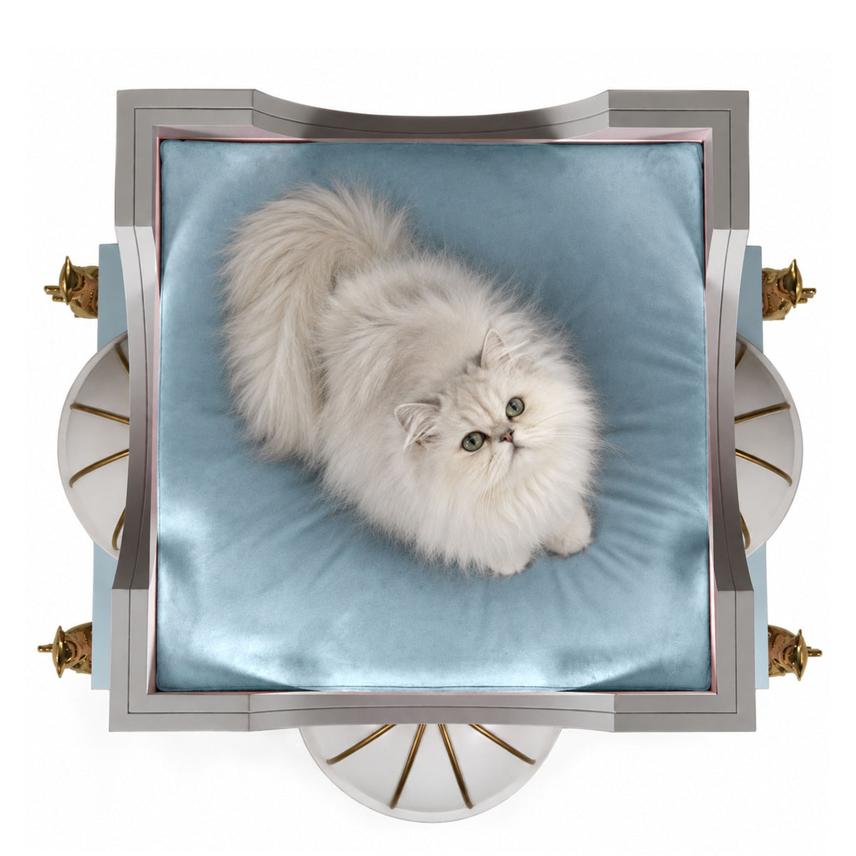 A fluffy white long-haired cat lies on a light blue cushion inside a decorative square frame with metallic silver sides and small gold accents, photographed from above on a white background.