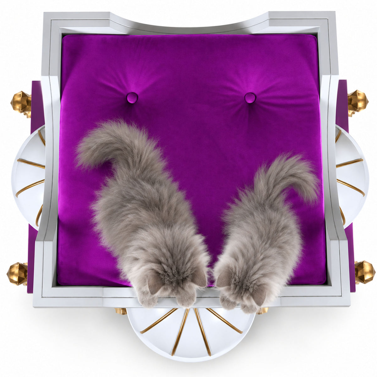 A top-down view of a luxury velvet chair with a vibrant purple seat cushion, a silver frame, and gold accents, featuring two fluffy gray cats lying on the cushion.