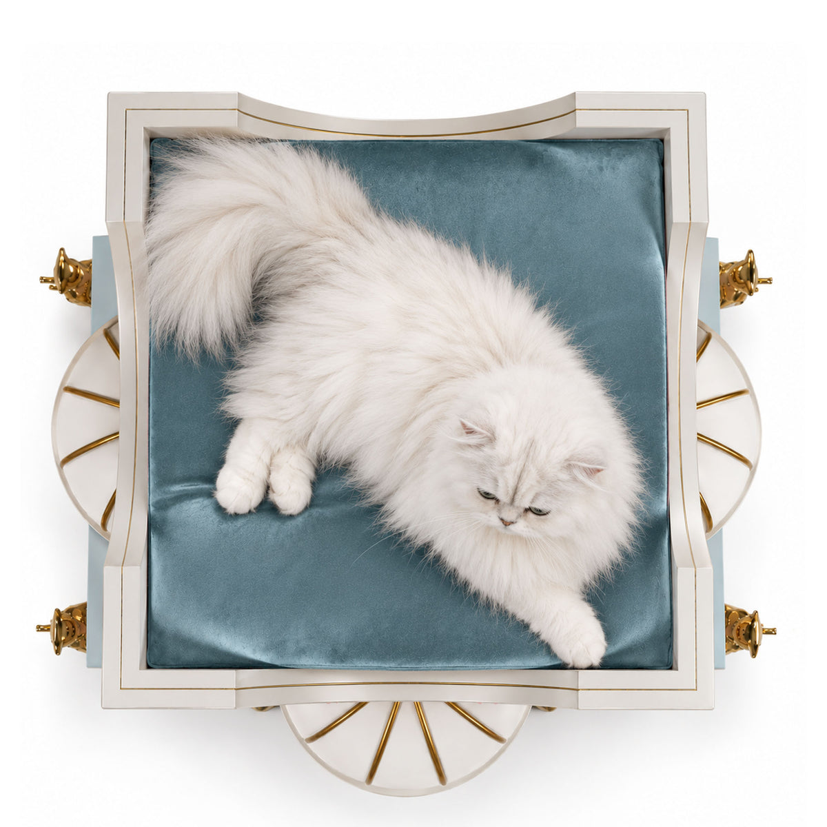 A fluffy white long-haired cat lies stretched out on a square teal-blue velvet cushion inside an ornate cream and gold decorative frame, photographed from above on a white background.