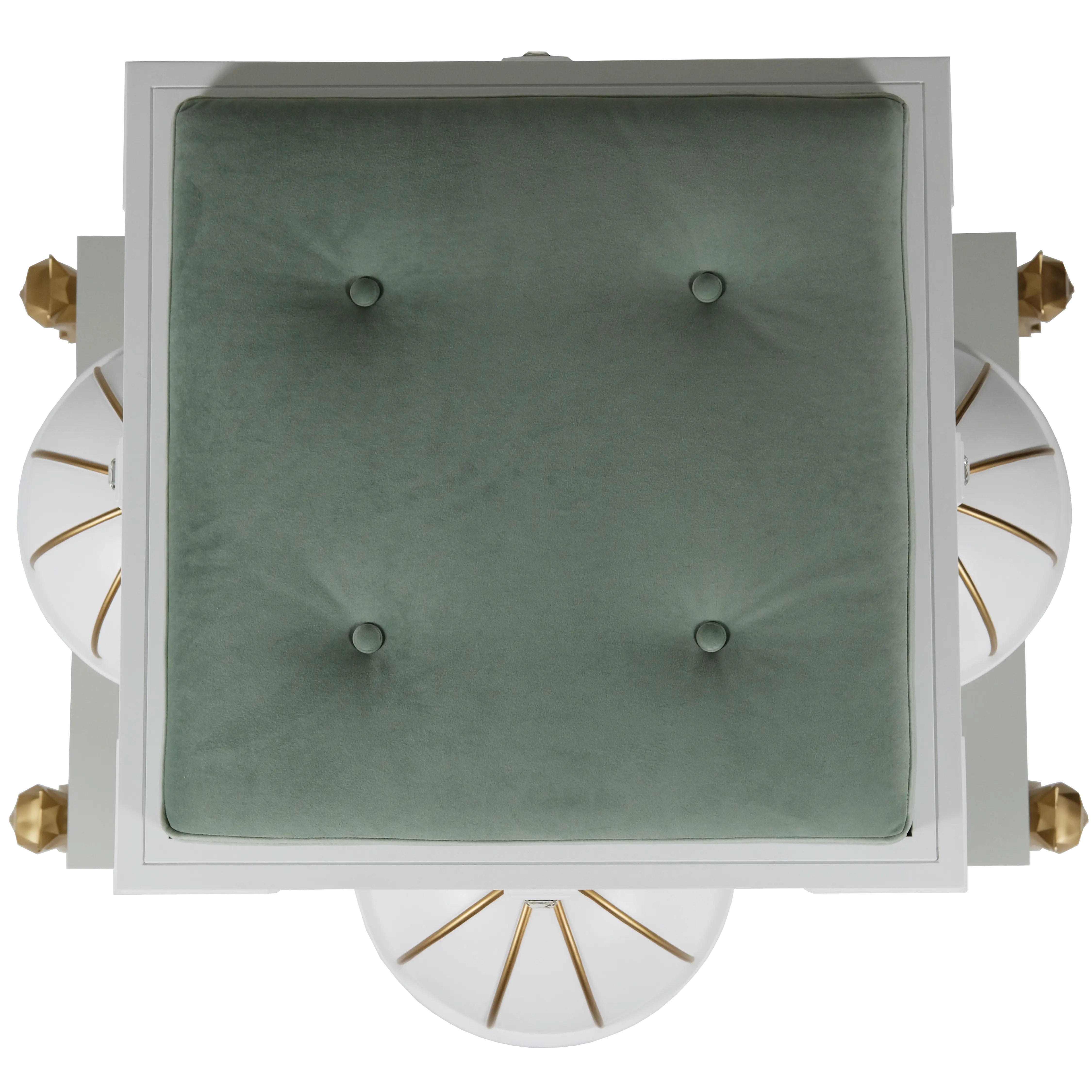 "Top-down view of the elegant velvet lounge area, featuring a bespoke royal design for the truly noble and exotic pet."