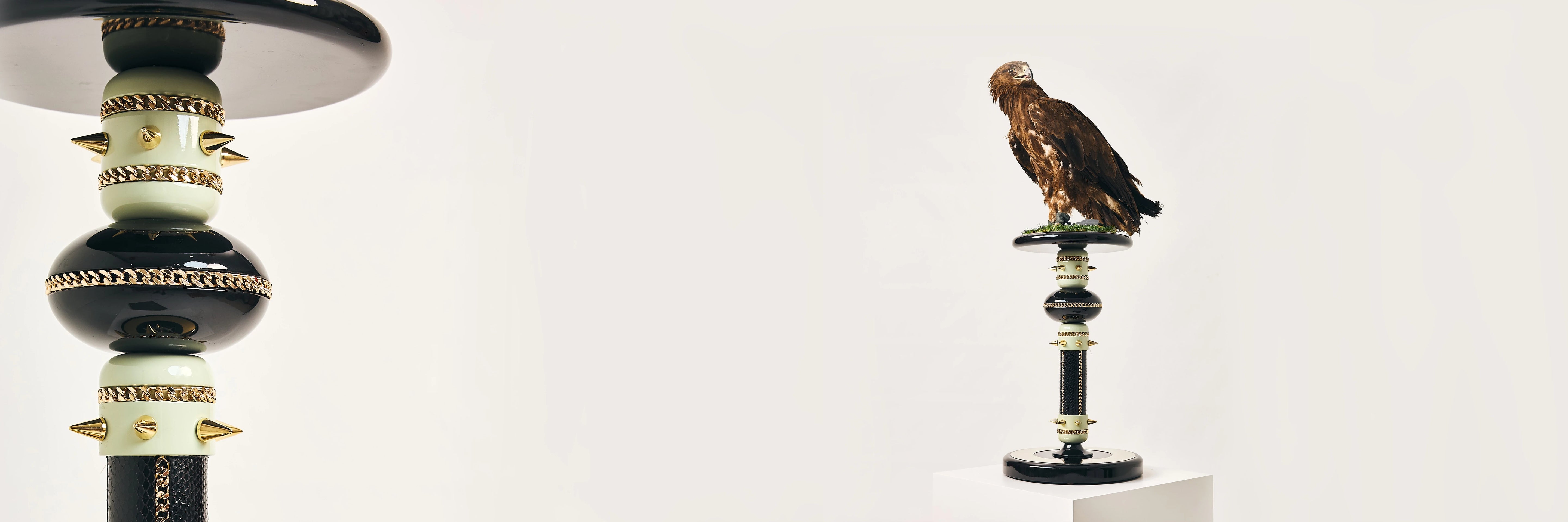 Majestic Falcon Perches by FUROAR