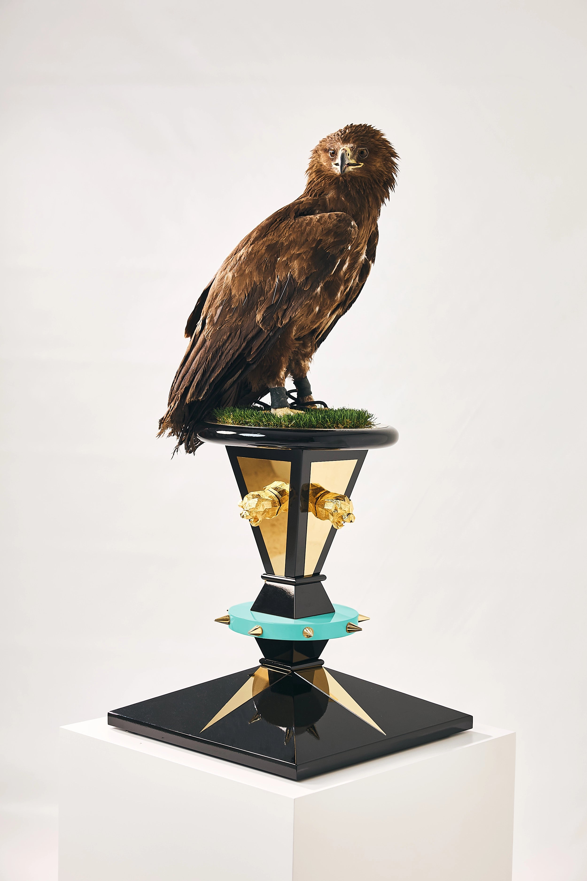 Malakar — The Imperial Crown Falcon Perch
