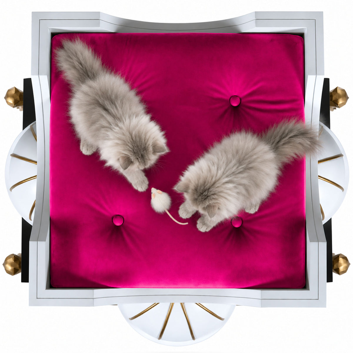 Poshy Baby | Luxury Cat House | FUROAR