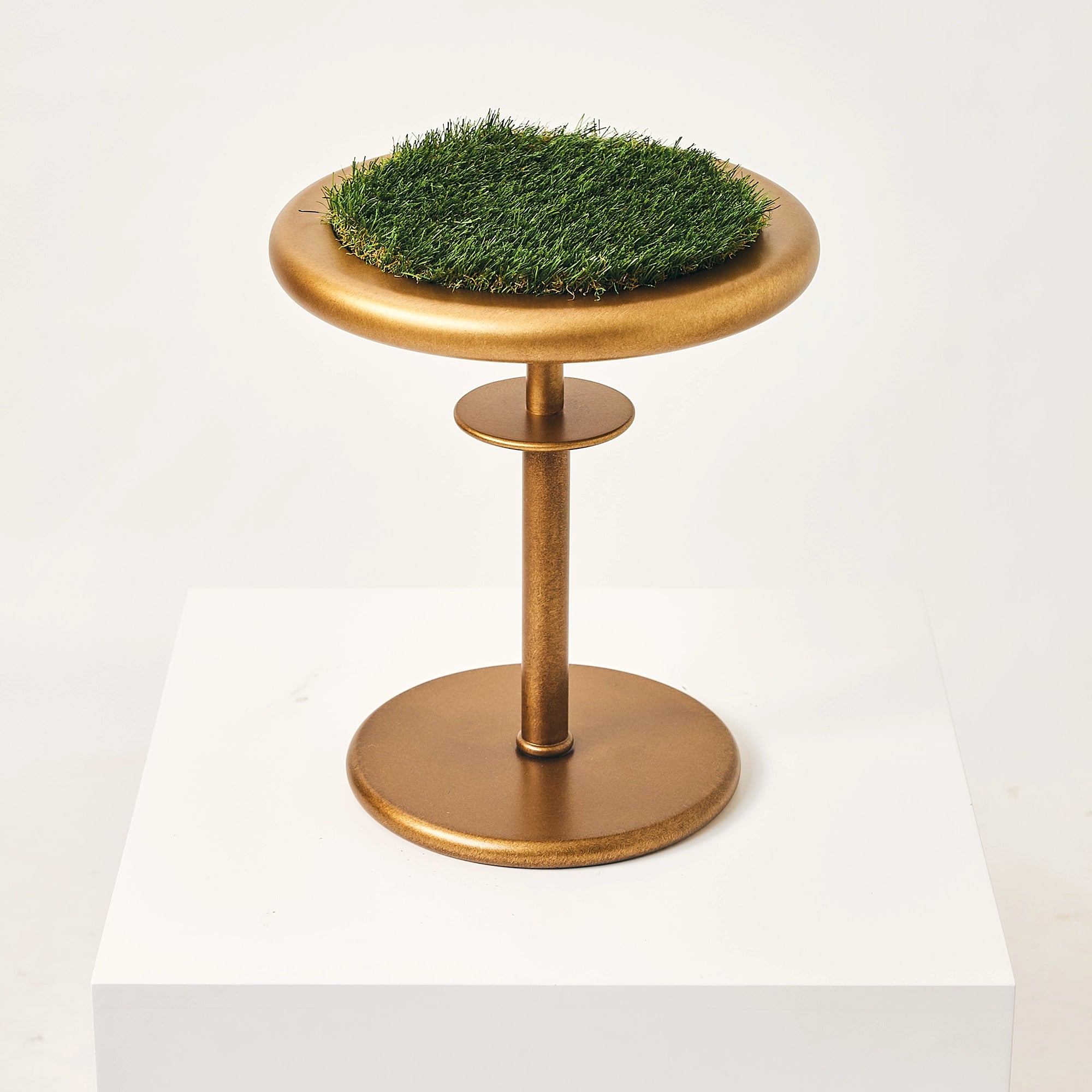 The minimalist matte-gold Regalia falcon perch by FUROAR with a grass top.