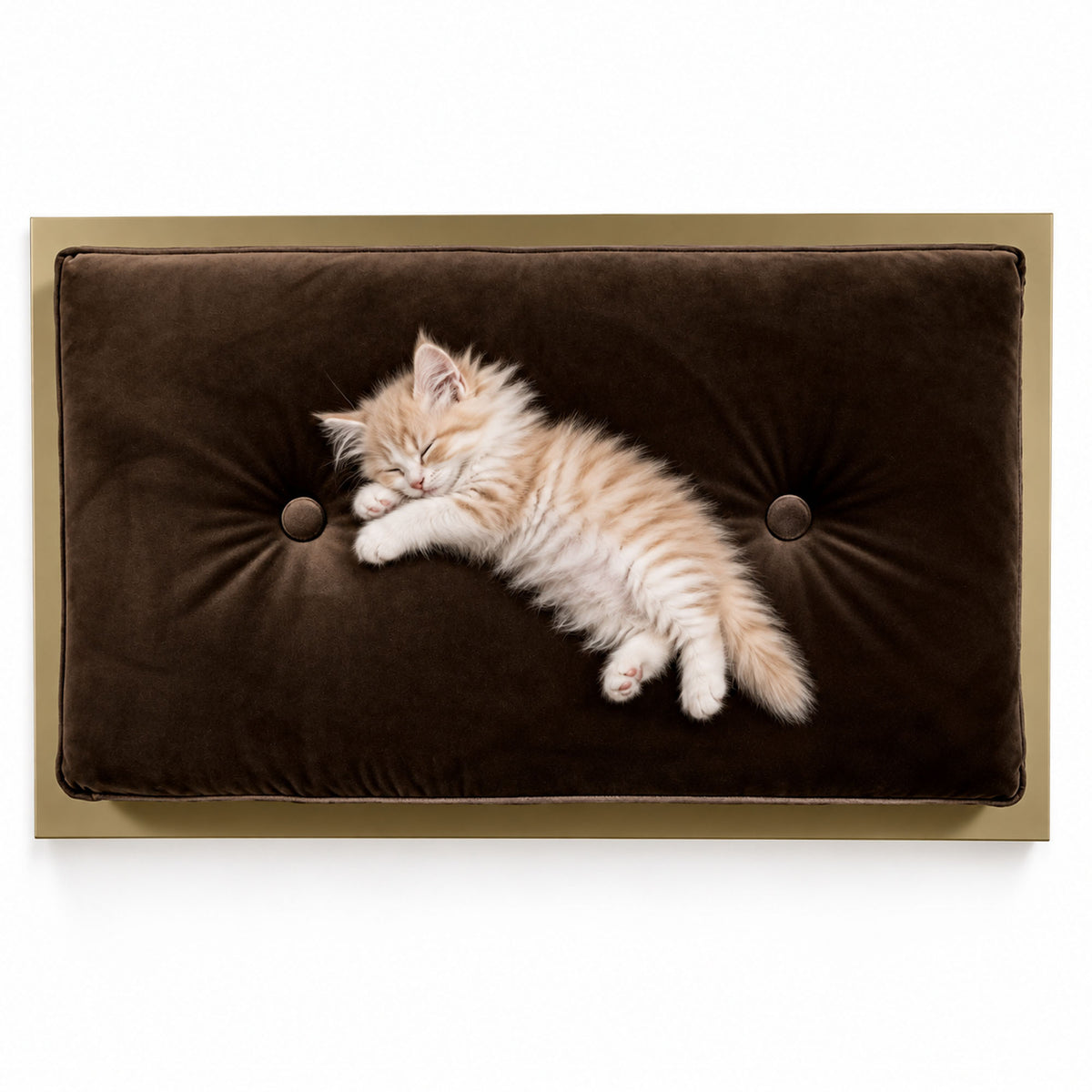 Ginger kitten sleeping on the chocolate velvet FUROAR Rocky Small luxury pet bed.