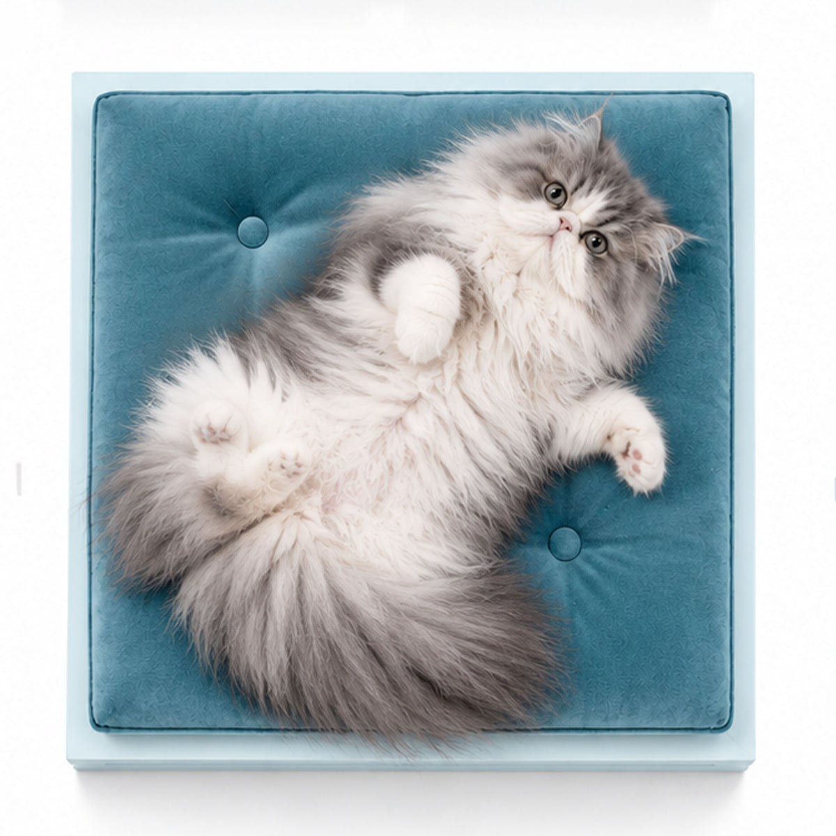 Long-haired grey and white Persian cat relaxing on a blue velvet FUROAR luxury cat bed.