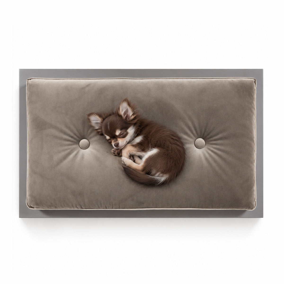 Tom Small luxury pet bed with a soft taupe-grey velvet tufted cushion and coordinating grey frame, photographed from above on a clean white background.