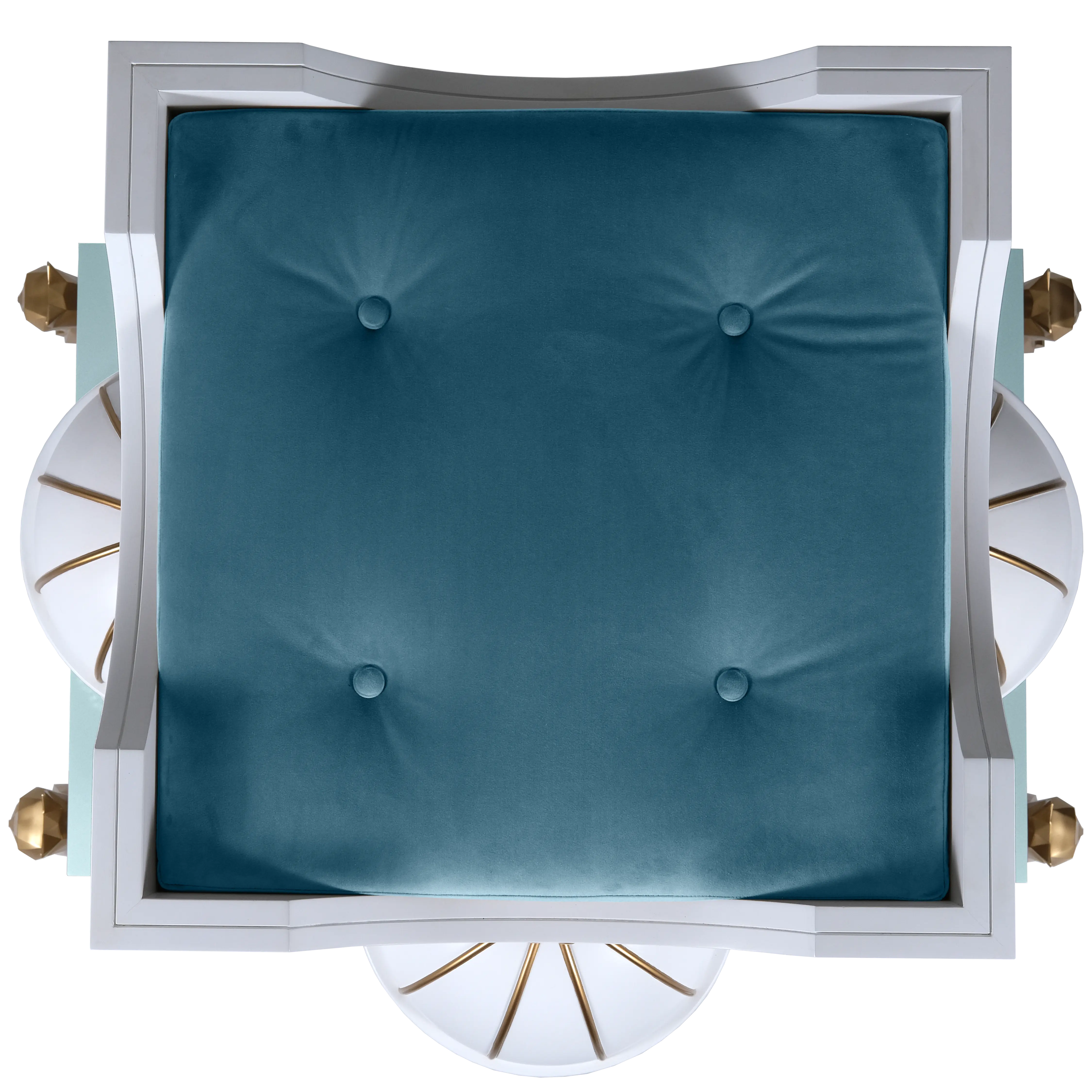 "Top-down view of the deluxe plush lining, featuring a bespoke royal design for the truly noble and exotic feline."