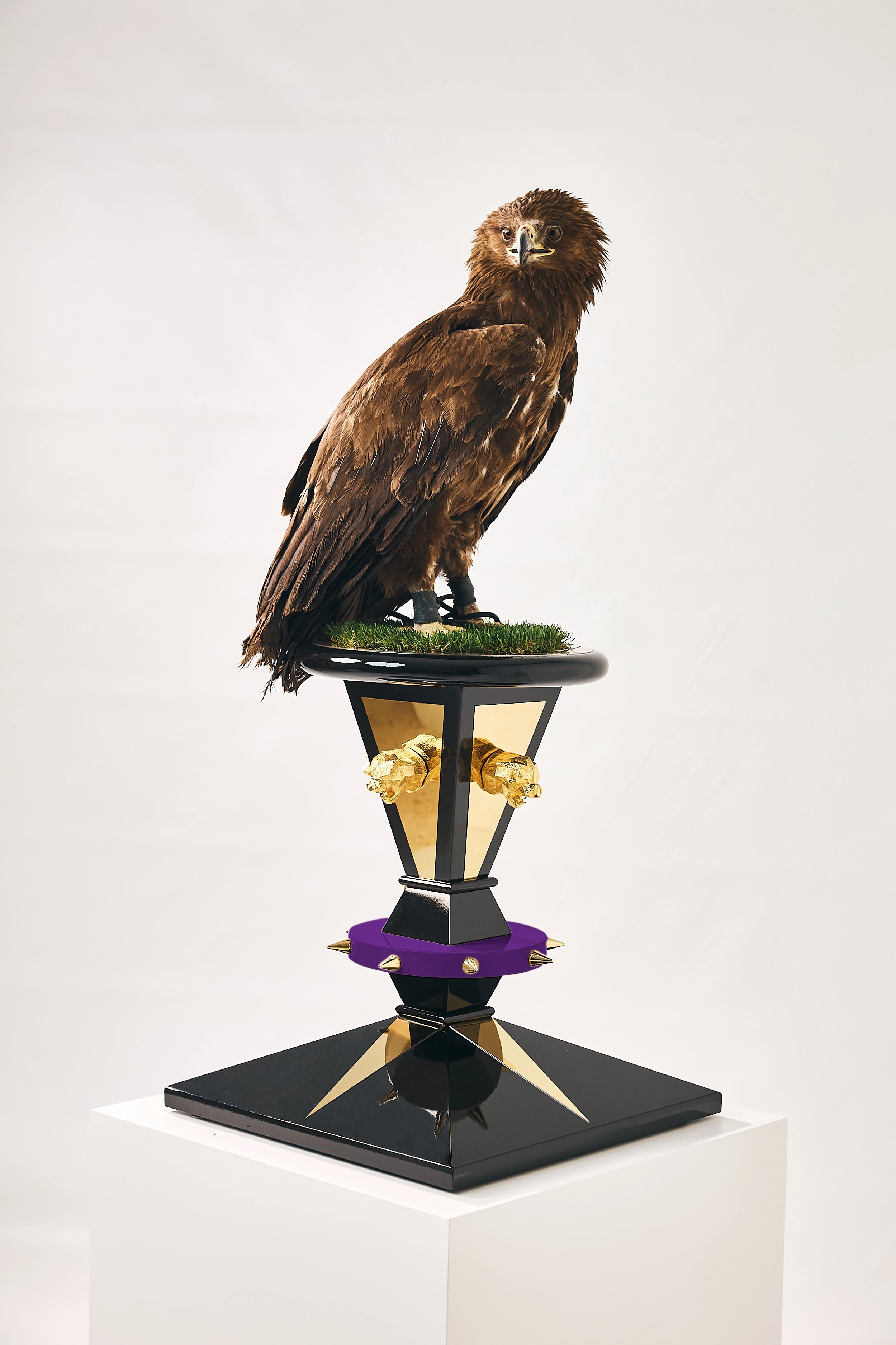 VALENOR — The Imperial Crown Falcon Perch