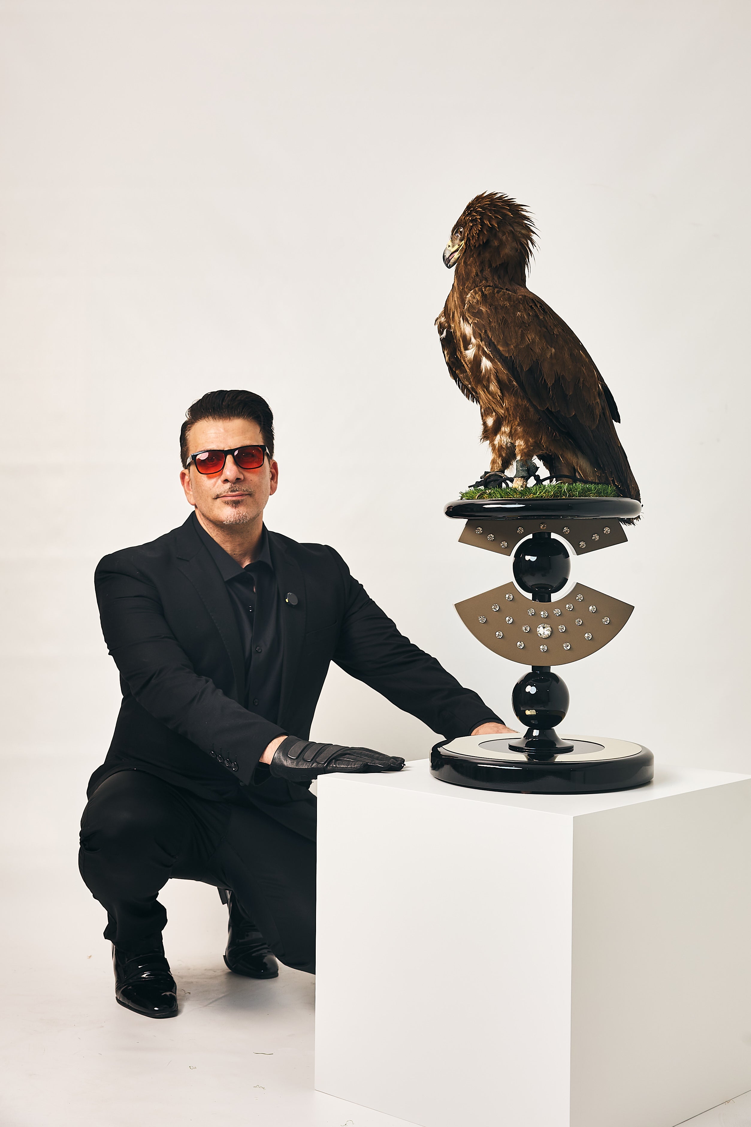 Falconry: A Historical Relationship Found in the Genes