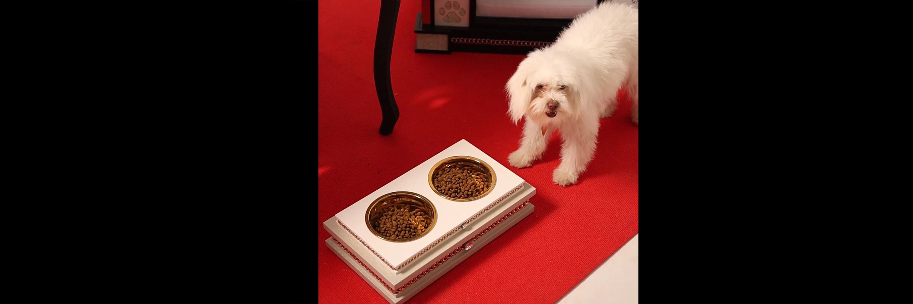 Bon Appétit by FUROAR — jewelry-grade pet dining stations with 24K gold and Czech crystals