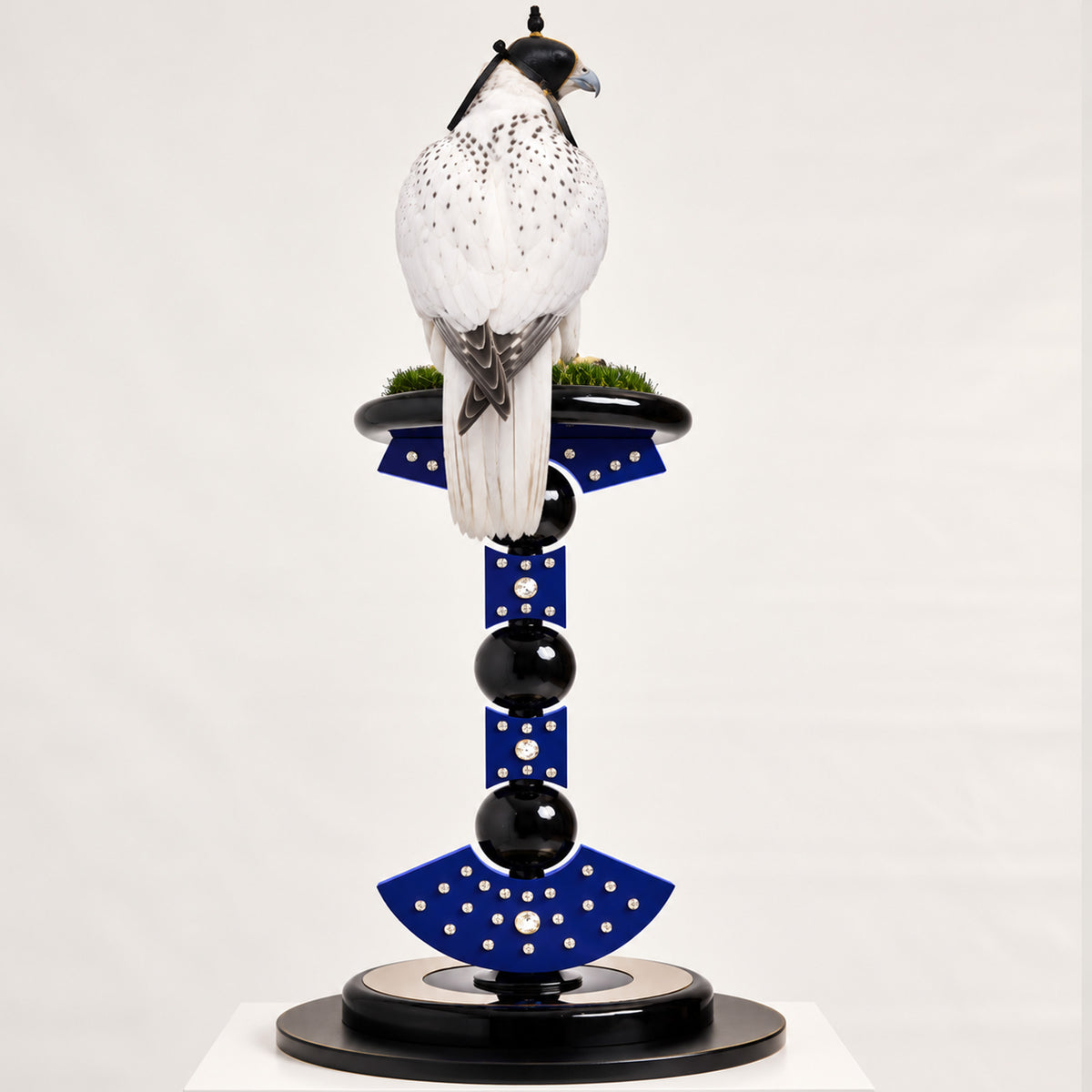 White hooded falcon perched on the FUROAR CZANAR Imperial Falcon Perch, featuring deep royal blue panels, crystal detailing, glossy black spheres and a sculptural circular base.