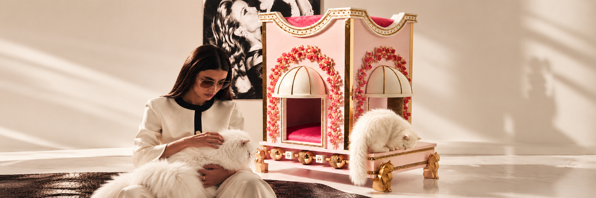two cats siting in a room with a furoar cat house 