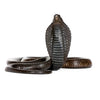 Egyptian Cobra