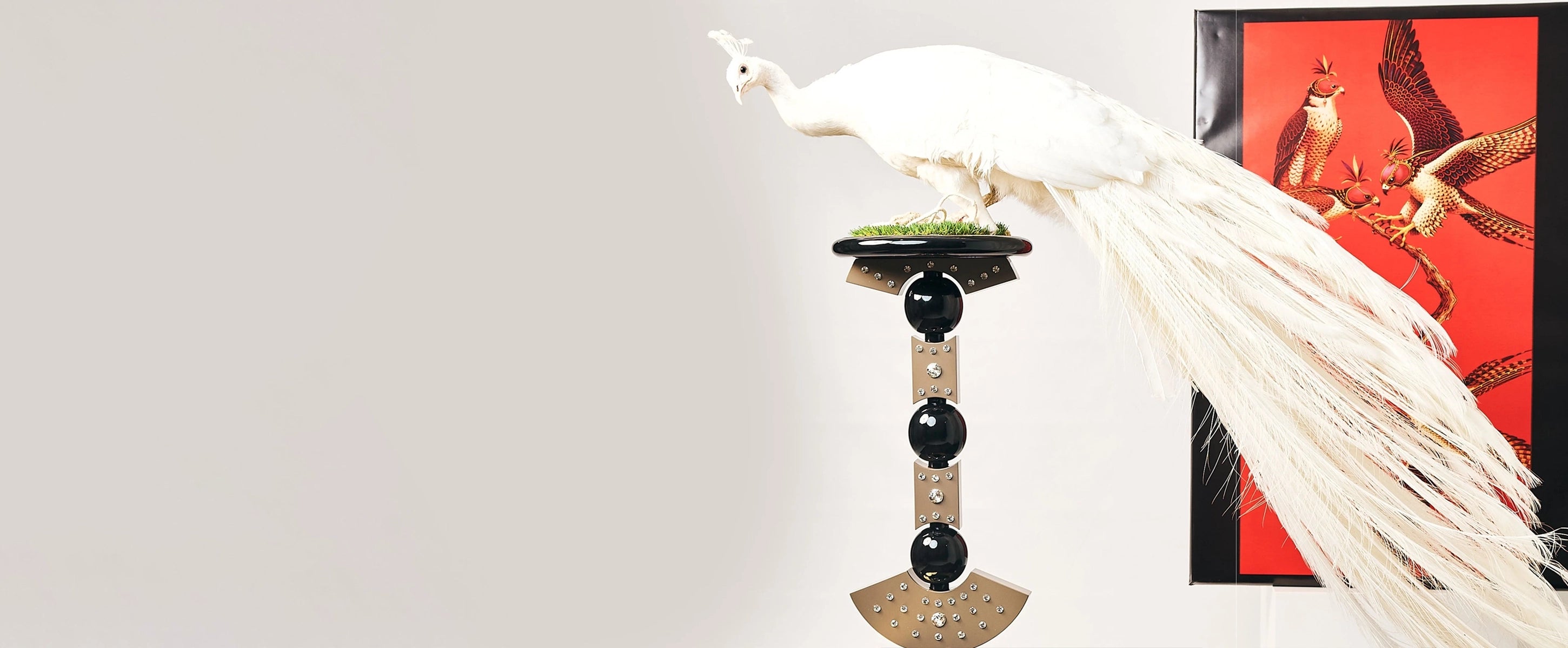 FUROAR Royal Birds collection