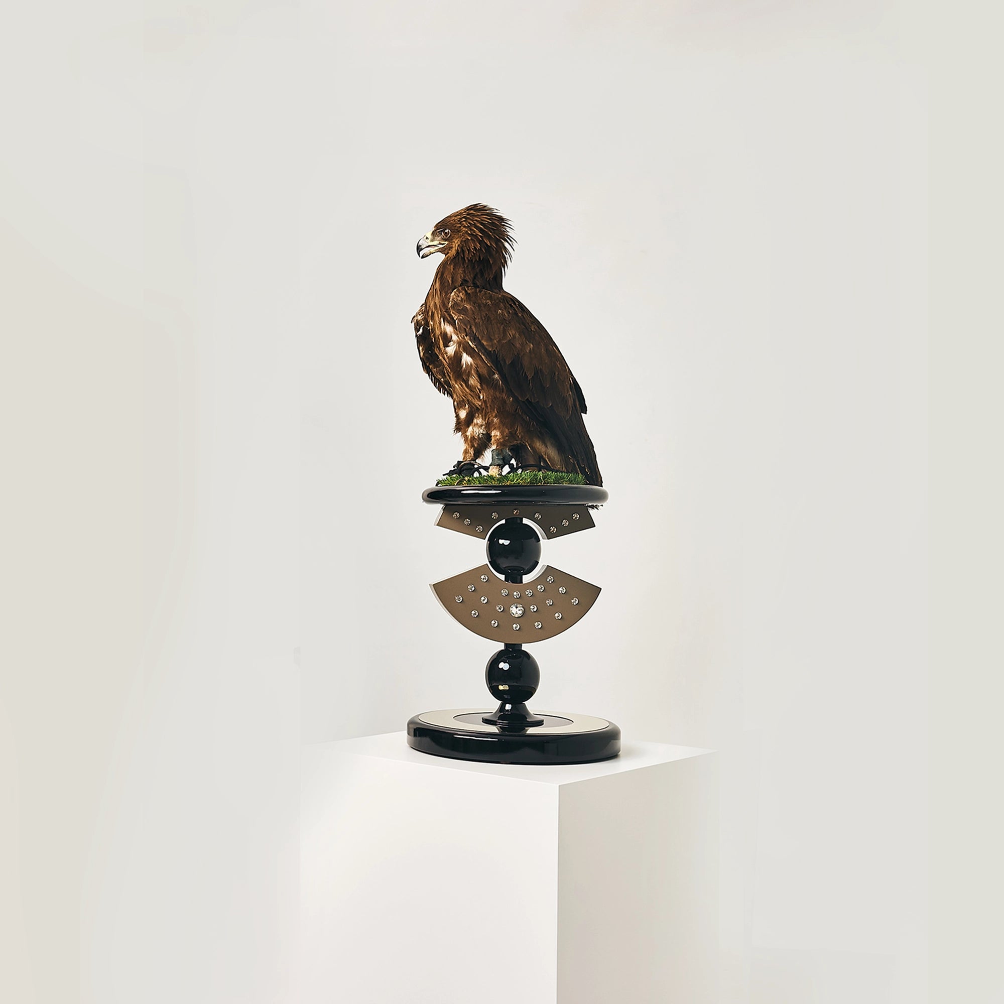 The Royal FUROAR Falcon collection