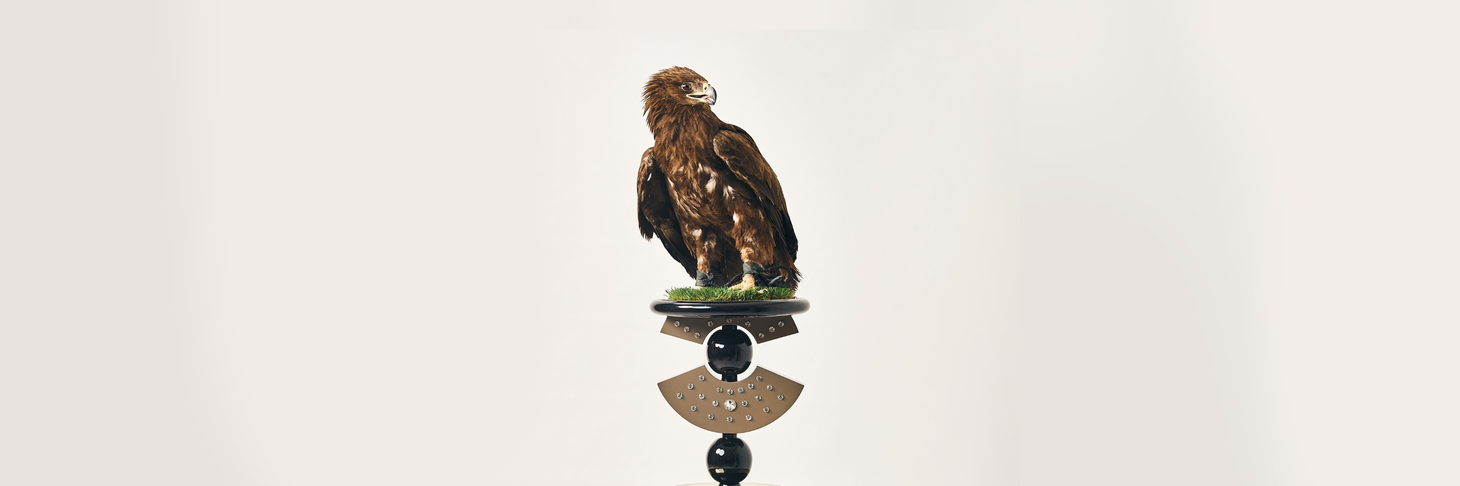 Royal Perches