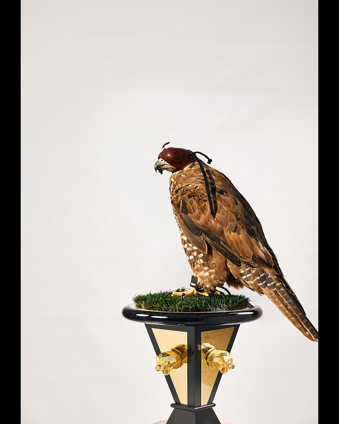 EMPEROR — The Imperial Crown Falcon Perch
