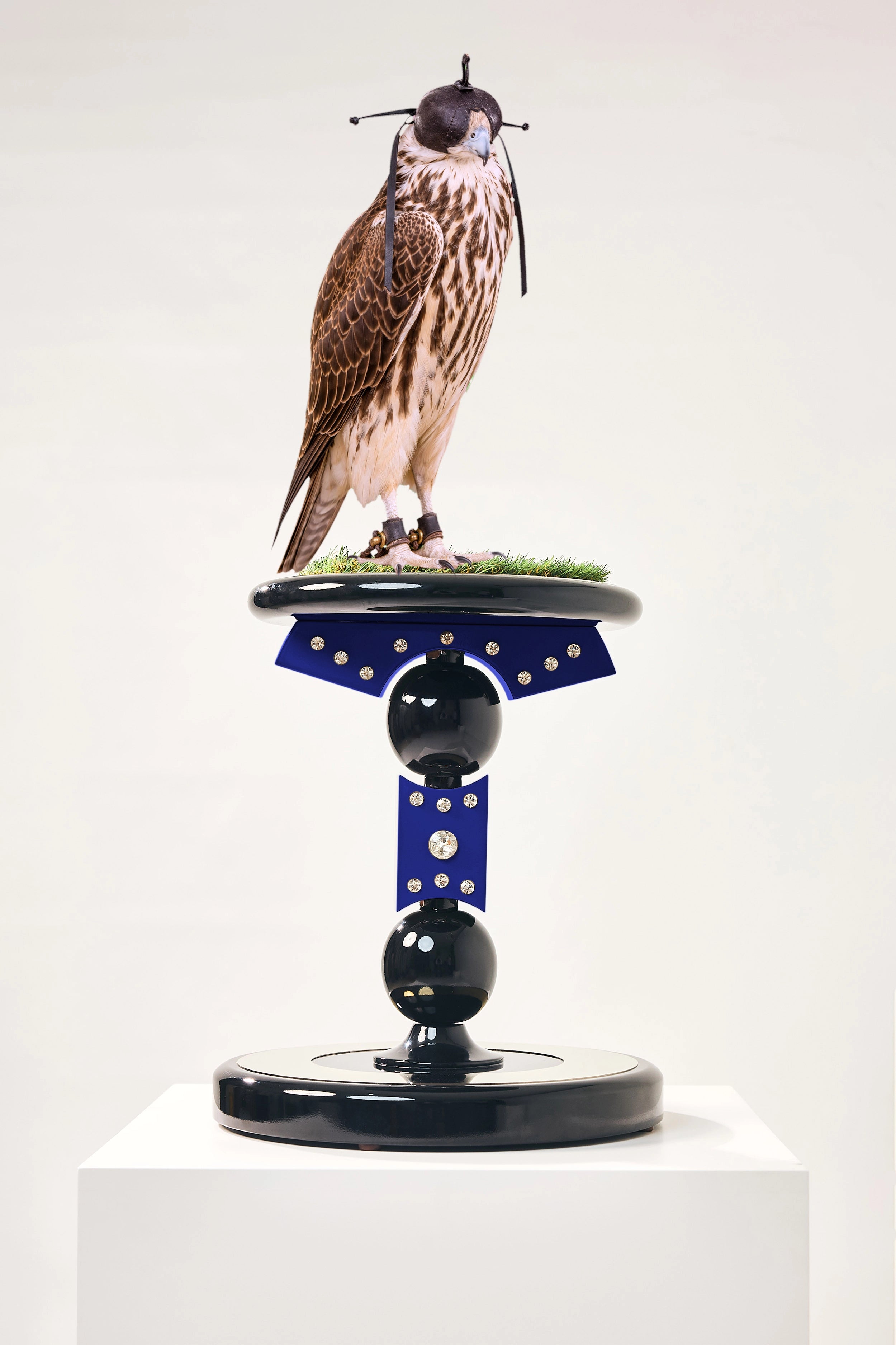 INFANTAR — The Sovereign Falcon Perch