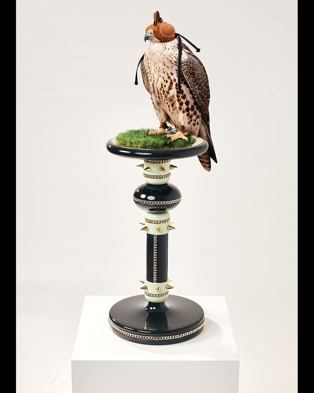 EMPRESS — The Sovereign Domain Falcon Perch