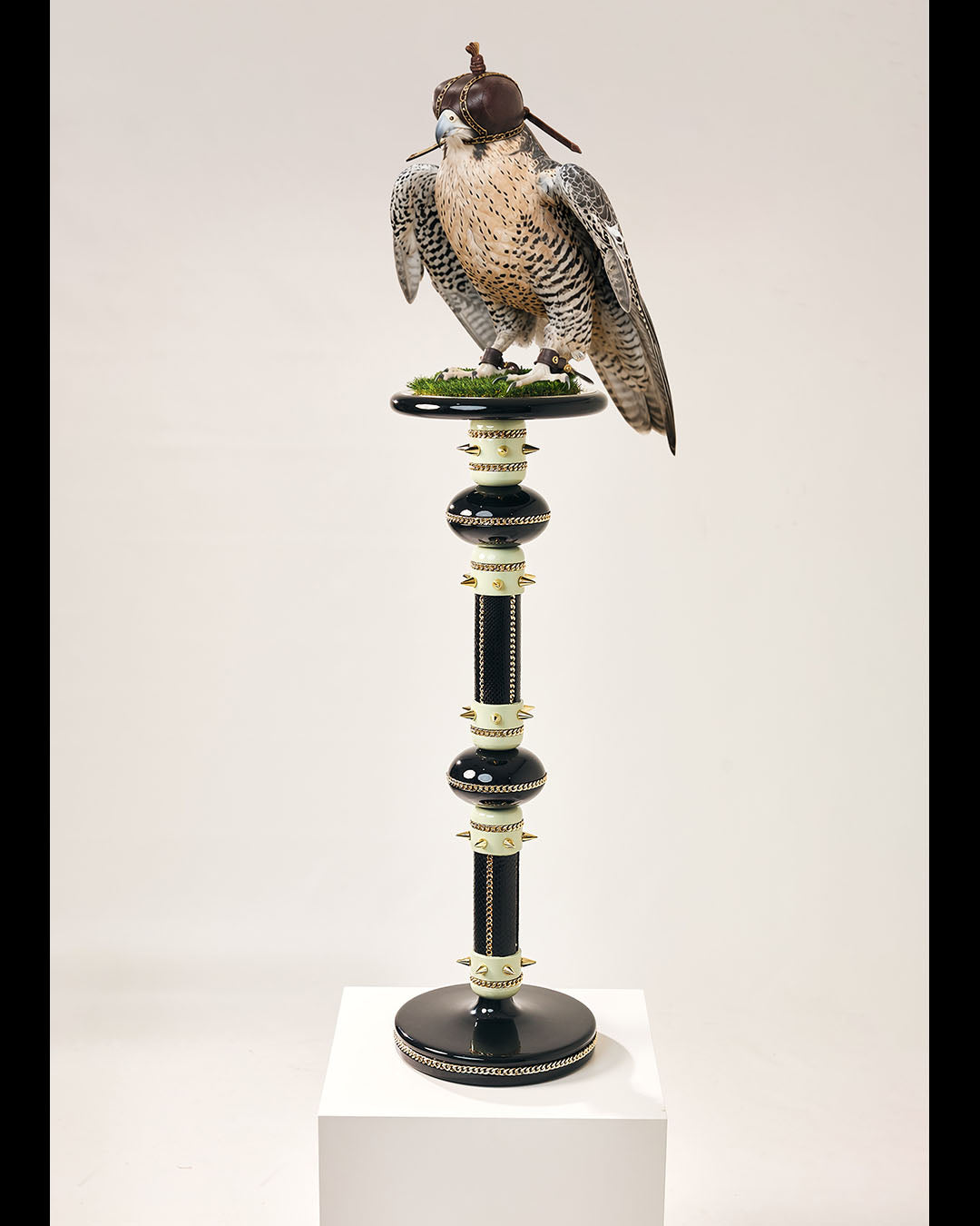 MAJESTY — The Crowned Pedestal Falcon Perch