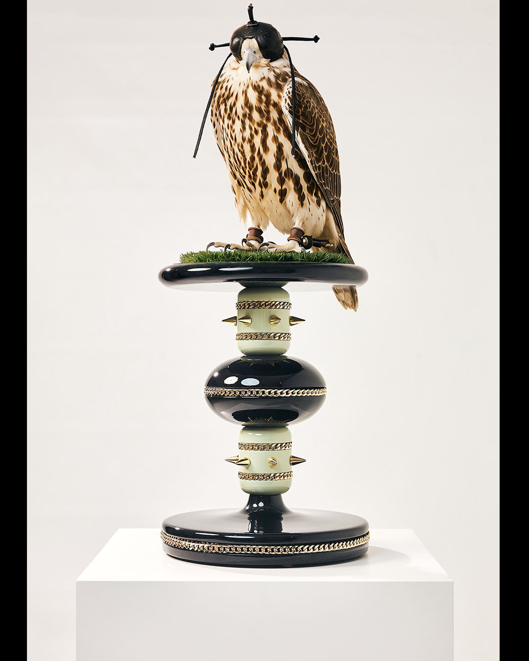 SKYE — The Sovereign Sky Falcon Perch