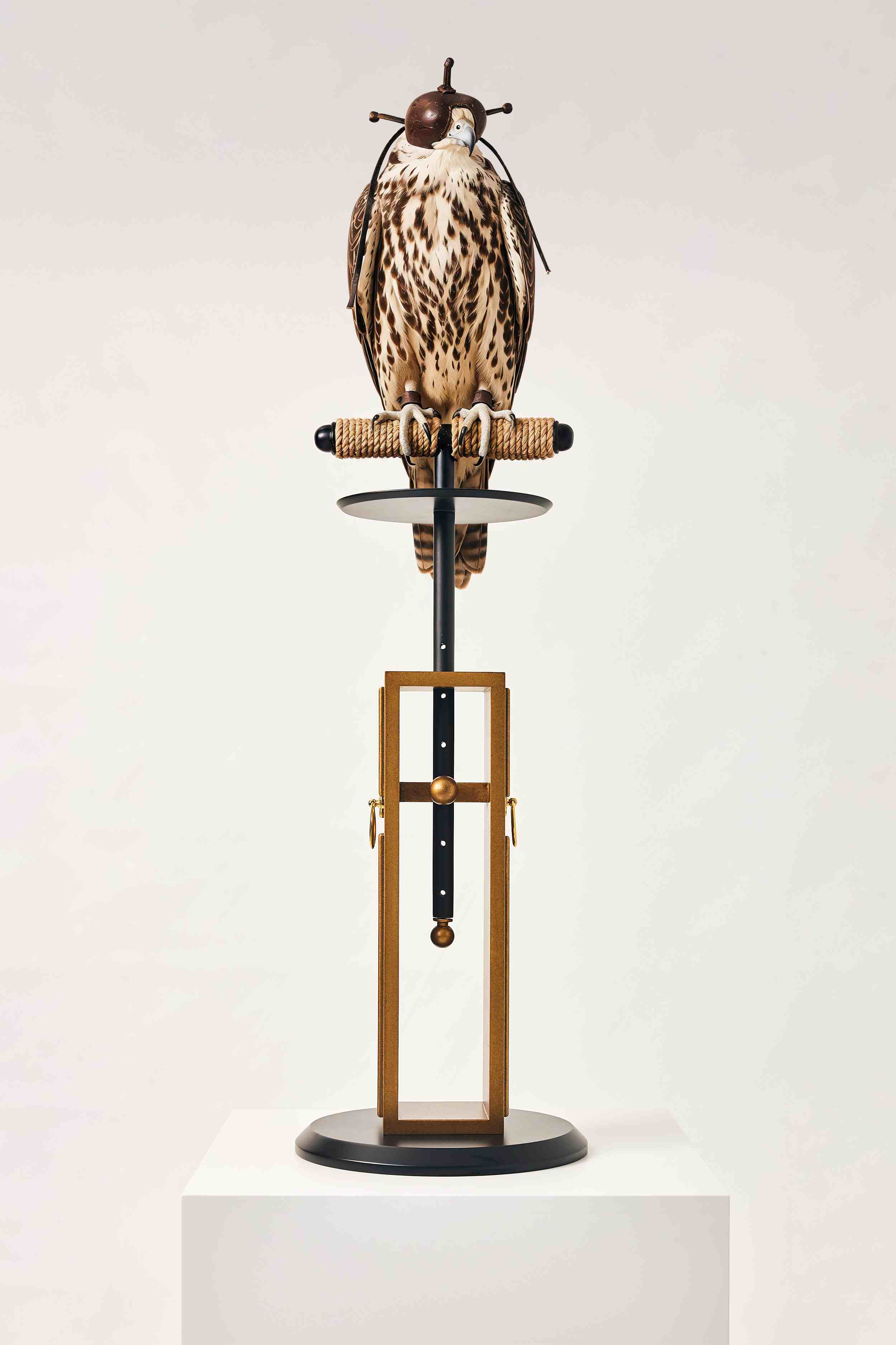 Nobel Luxury Falcon Perch | FUROAR