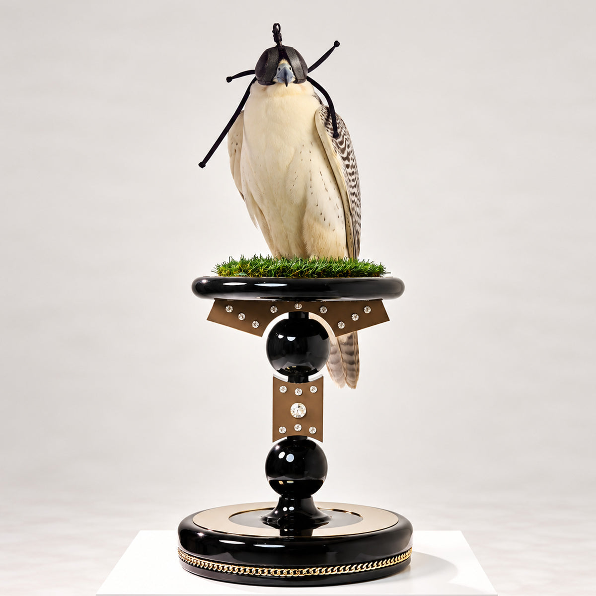 Princess, The Sovereign Falcon Perch by FUROAR, featuring a sculptural black and metallic design with crystal detailing, gold chain accents, green grip grass and a white hooded falcon.