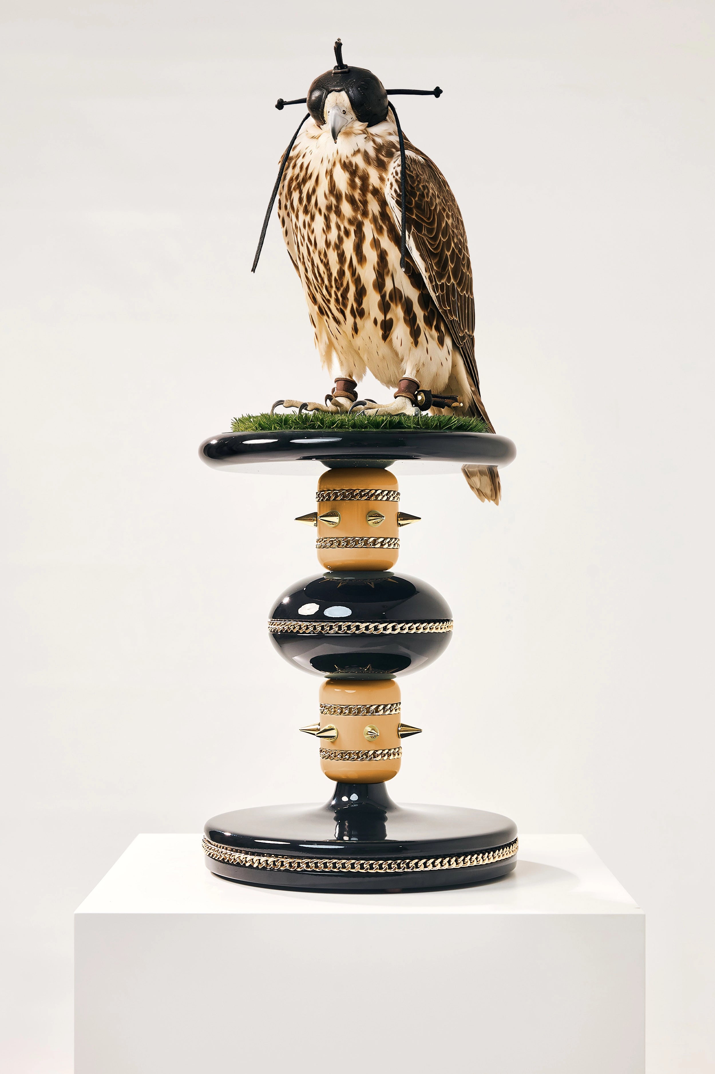 TSARAR— The Sovereign Sky Falcon Perch