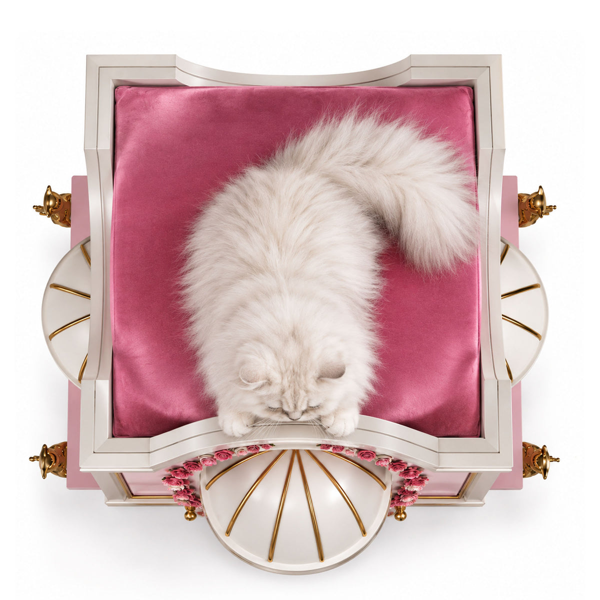A fluffy white cat lies curled up inside a decorative pink and white box with gold accents, photographed from above on a white background.