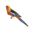 Crimson Rosella