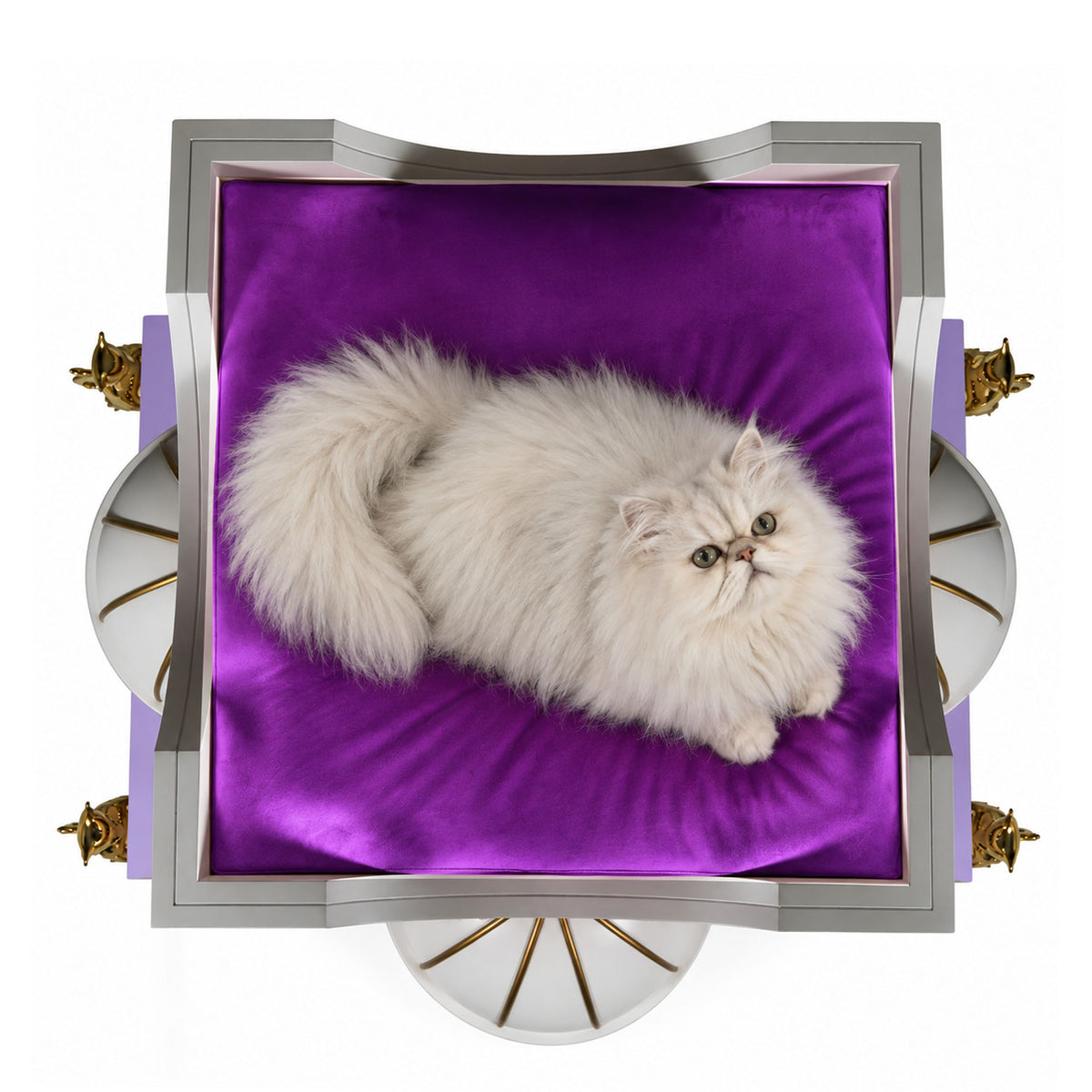 A fluffy white long-haired cat lies on a purple velvet cushion inside a decorative square frame with gold and silver details, photographed from above on a white background.