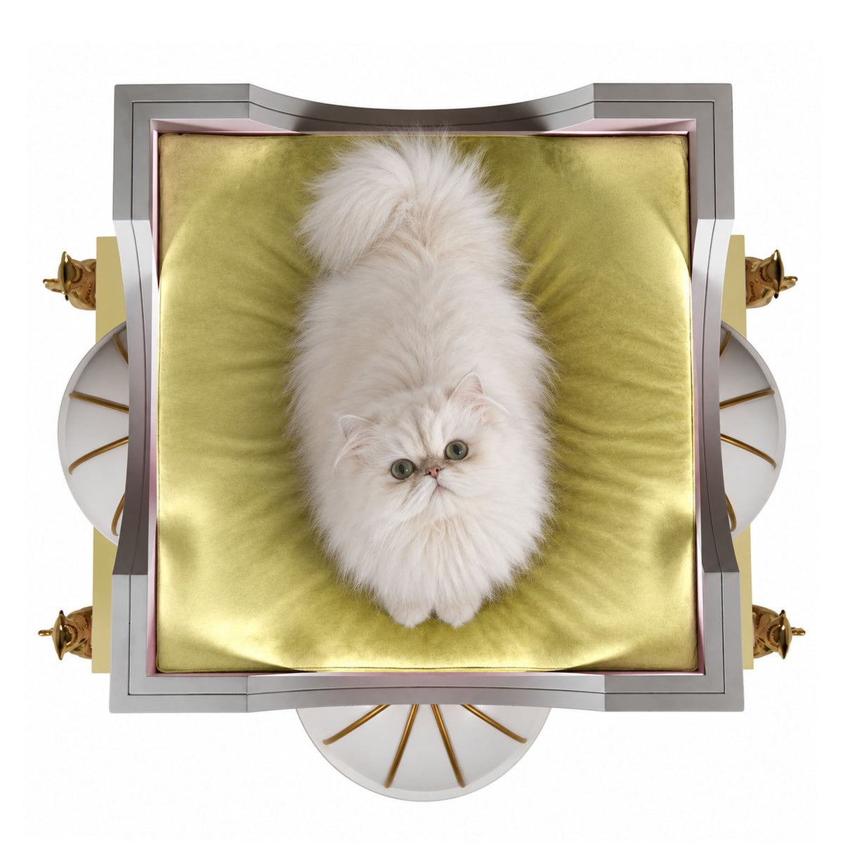 A fluffy white long-haired cat lies on a shiny gold cushion inside a decorative silver and gold square frame, photographed from directly above on a white background.