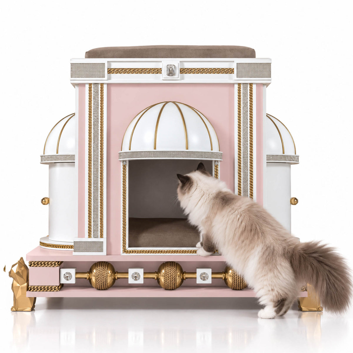 A fluffy long-haired cat stands beside a decorative pink and white cat house with gold trim and domed openings, photographed on a clean white studio background.