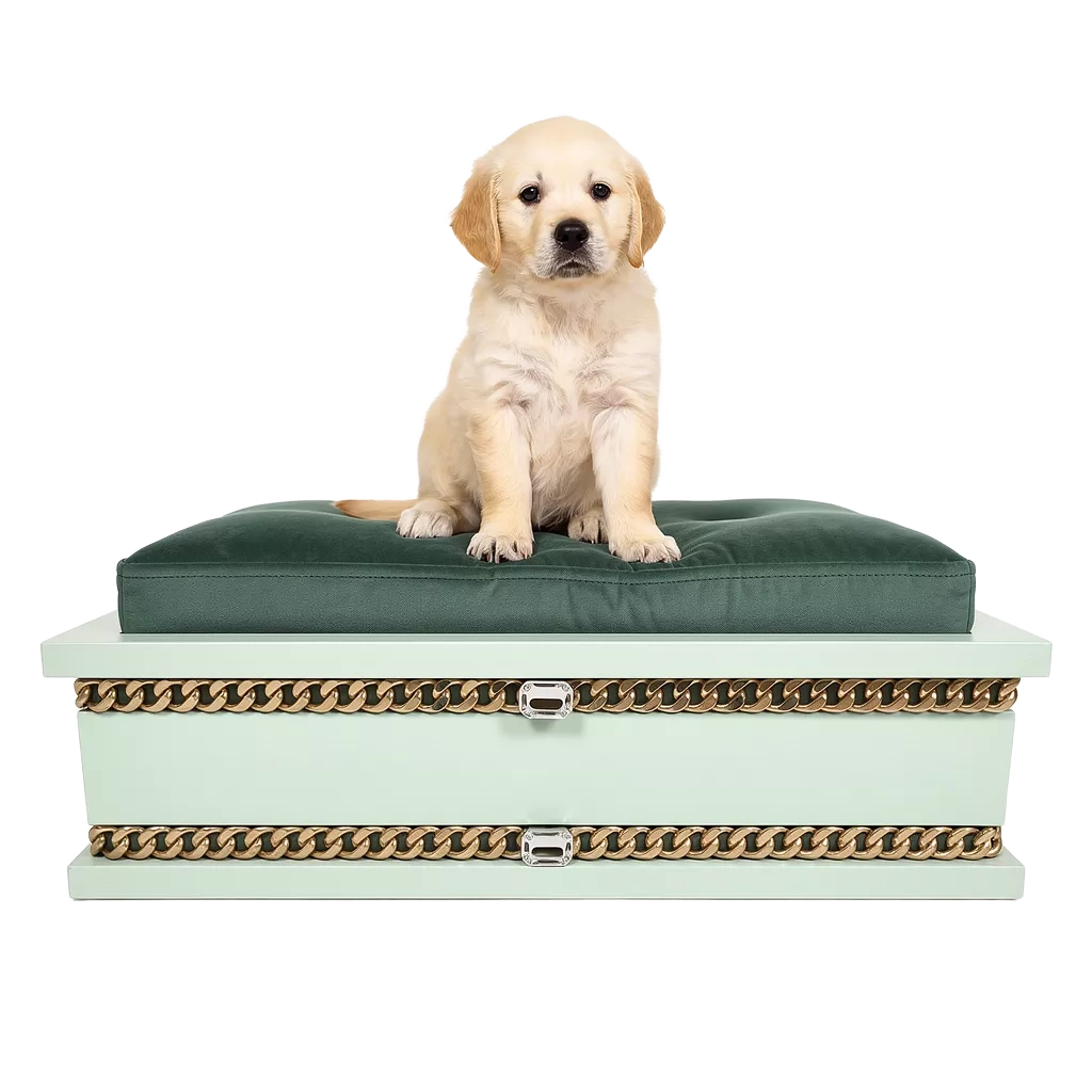 FUROAR Ivy Small luxury designer pet bed for kittens and puppies with gold jewelry accessories.