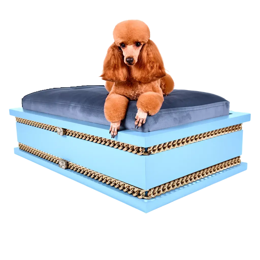 FUROAR Maison Medium luxury designer pet bed for cats and toy dogs with gold jewelry accessories.