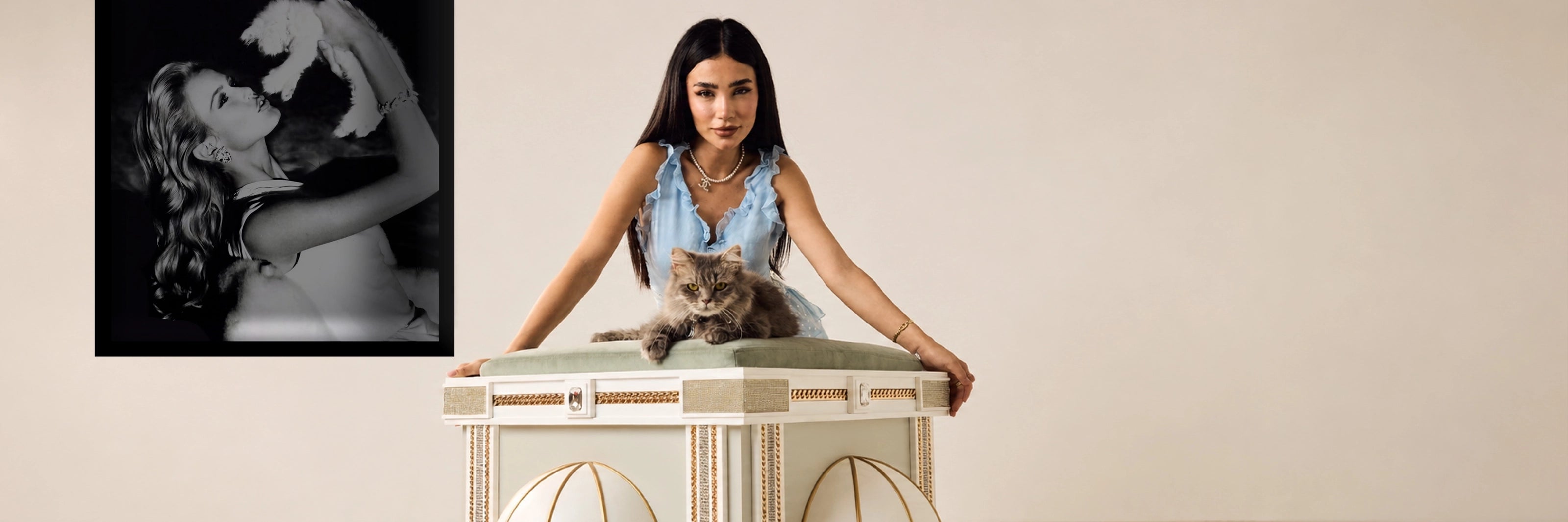 FUROAR  PALACE collection of luxury cat houses