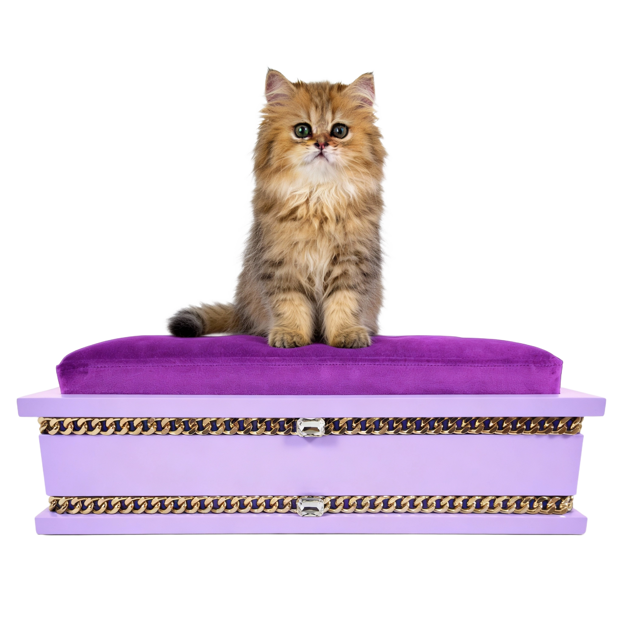 FUROAR Plum Small luxury designer pet bed for kittens and puppies with gold jewelry accessories.