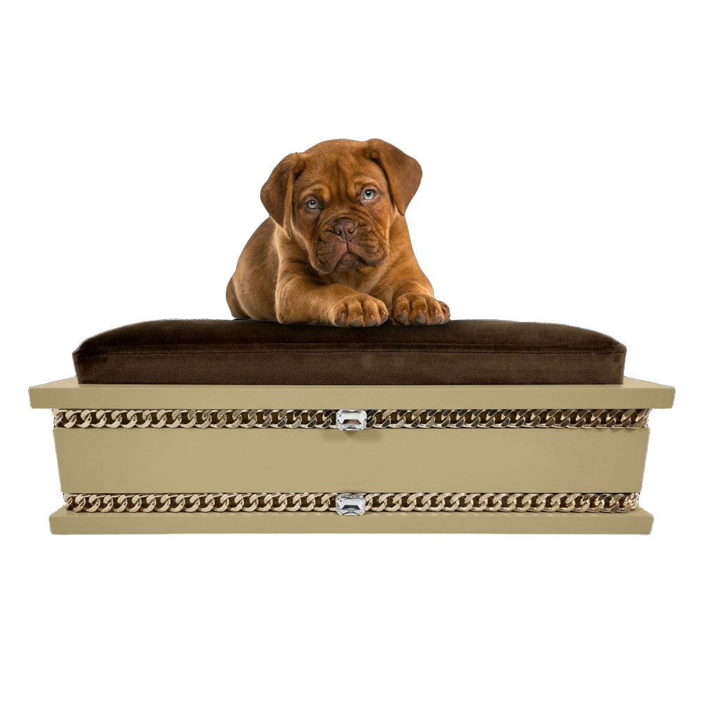 FUROAR Rocky Small luxury designer pet bed for kittens and puppies with gold jewelry accessories.
