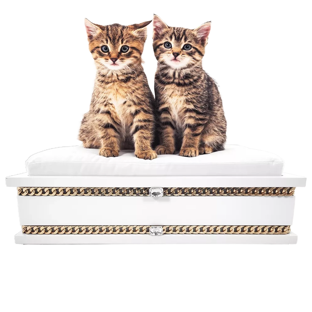 FUROAR Snow Small luxury designer pet bed for kittens and puppies with gold jewelry accessories.