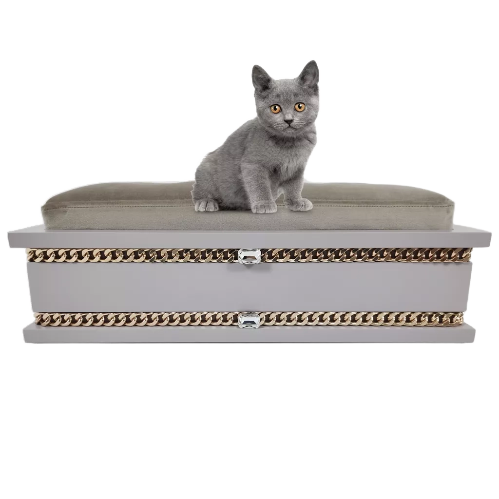 FUROAR Tom Small luxury designer pet bed for kittens and puppies with gold jewelry accessories.